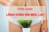 Thời Gian Lông Vùng Kín Mọc Lại Là Bao Lâu?
