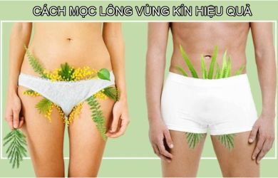 Cách Mọc Lông Vùng Kín Nhanh và Hiệu Quả