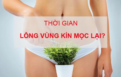 Thời Gian Lông Vùng Kín Mọc Lại Là Bao Lâu?