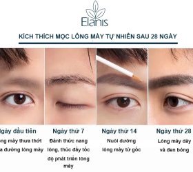 Serum Hỗ Trợ Mọc Lông Mày